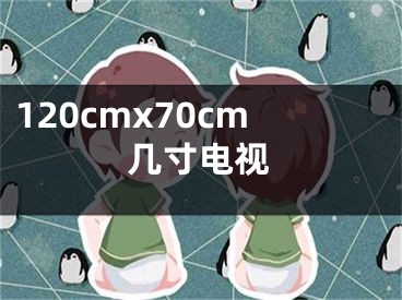 120cmx70cm几寸电视