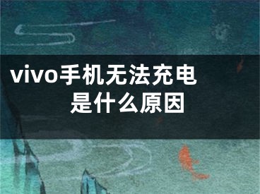 vivo手机无法充电是什么原因