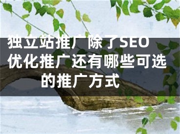 独立站推广除了SEO优化推广还有哪些可选的推广方式 