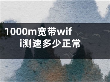 1000m宽带wifi测速多少正常