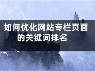 如何优化网站专栏页面的关键词排名 