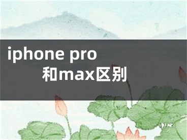 iphone pro和max区别