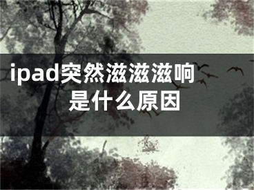 ipad突然滋滋滋响是什么原因