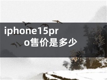 iphone15pro售价是多少