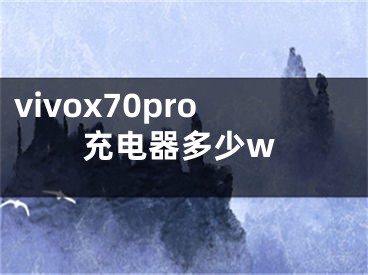 vivox70pro充电器多少w