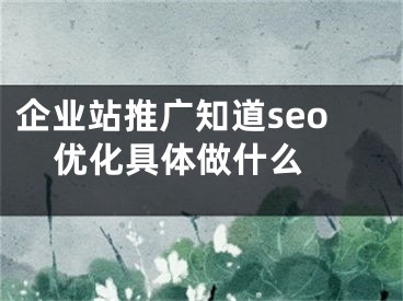 企业站推广知道seo优化具体做什么 