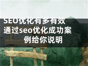 SEO优化有多有效 通过seo优化成功案例给你说明