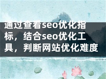 通过查看seo优化指标，结合seo优化工具，判断网站优化难度