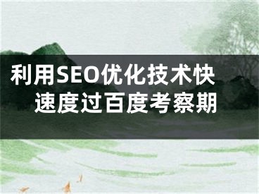 利用SEO优化技术快速度过百度考察期