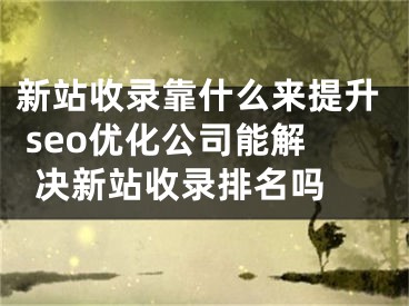 新站收录靠什么来提升 seo优化公司能解决新站收录排名吗 