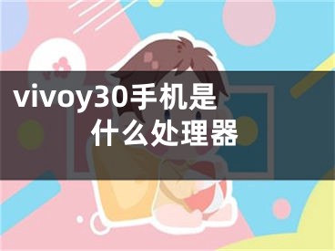 vivoy30手机是什么处理器