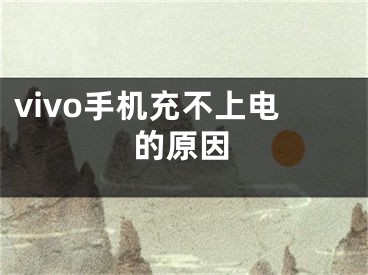 vivo手机充不上电的原因