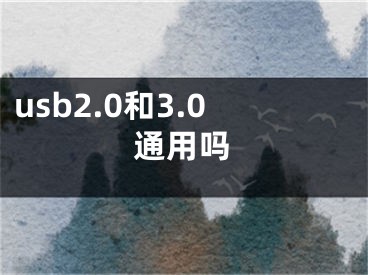 usb2.0和3.0通用吗