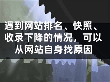 遇到网站排名、快照、收录下降的情况，可以从网站自身找原因