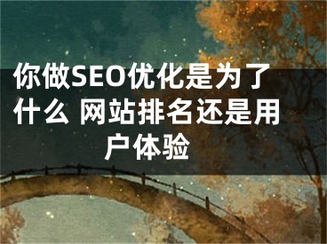 你做SEO优化是为了什么 网站排名还是用户体验 