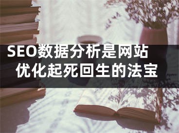 SEO数据分析是网站优化起死回生的法宝