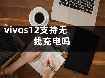 vivos12支持无线充电吗