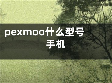 pexmoo什么型号手机