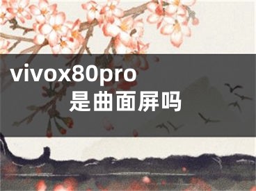 vivox80pro是曲面屏吗