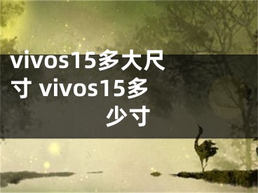 vivos15多大尺寸 vivos15多少寸