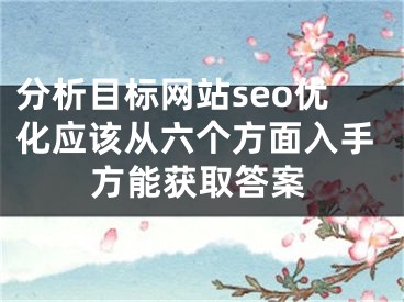 分析目标网站seo优化应该从六个方面入手方能获取答案