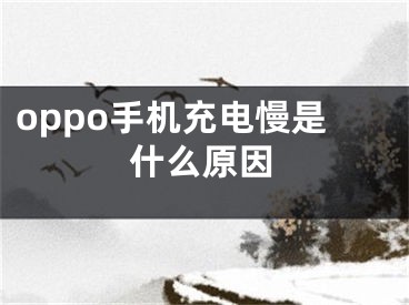 oppo手机充电慢是什么原因