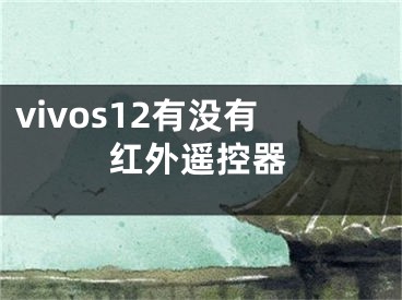 vivos12有没有红外遥控器