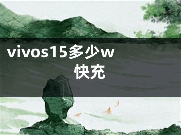 vivos15多少w快充