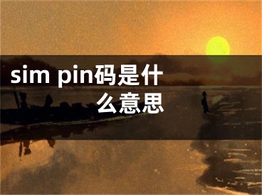 sim pin码是什么意思 