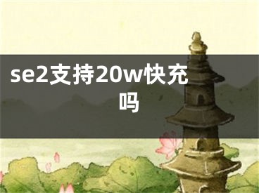 se2支持20w快充吗