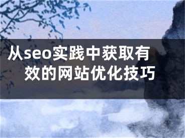 从seo实践中获取有效的网站优化技巧