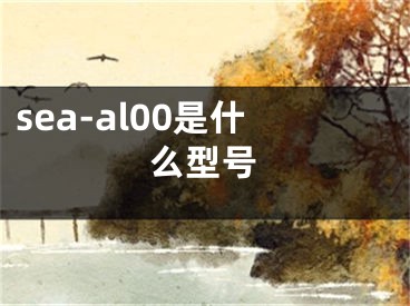 sea-al00是什么型号