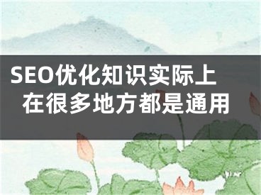 SEO优化知识实际上在很多地方都是通用