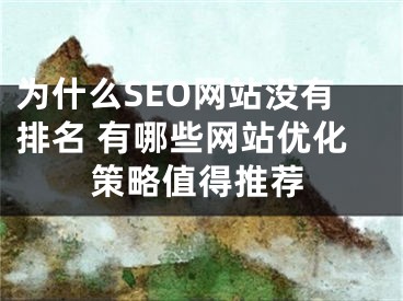 为什么SEO网站没有排名 有哪些网站优化策略值得推荐