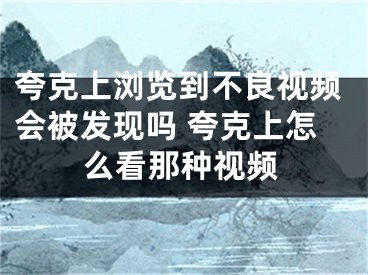 夸克上浏览到不良视频会被发现吗 夸克上怎么看那种视频