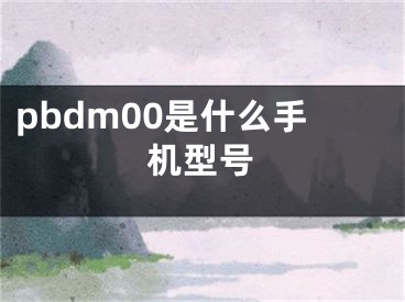 pbdm00是什么手机型号