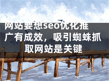 网站要想seo优化推广有成效，吸引蜘蛛抓取网站是关键