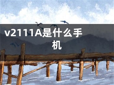 v2111A是什么手机