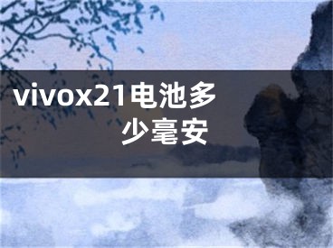 vivox21电池多少毫安