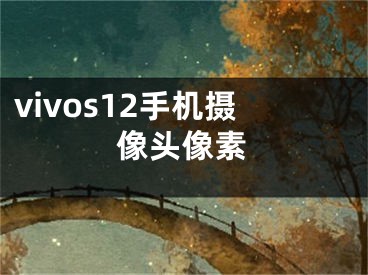 vivos12手机摄像头像素