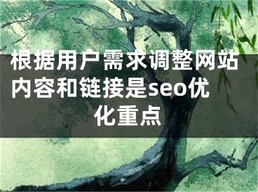 根据用户需求调整网站内容和链接是seo优化重点