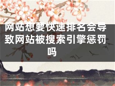 网站想要快速排名会导致网站被搜索引擎惩罚吗 