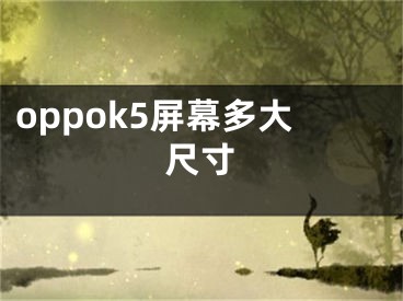 oppok5屏幕多大尺寸