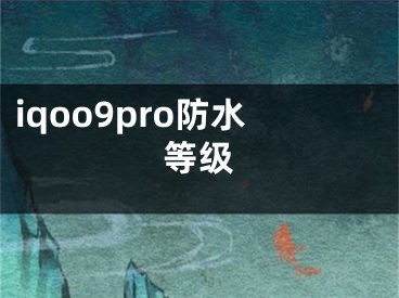 iqoo9pro防水等级