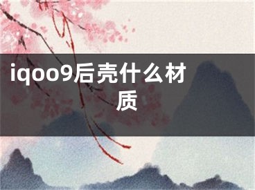 iqoo9后壳什么材质