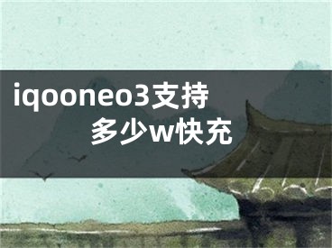 iqooneo3支持多少w快充