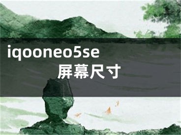 iqooneo5se屏幕尺寸