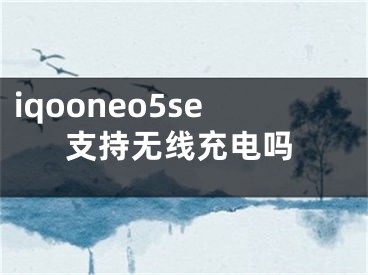 iqooneo5se支持无线充电吗