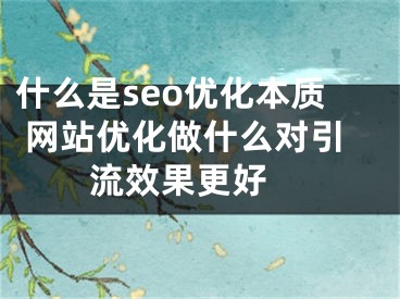 什么是seo优化本质 网站优化做什么对引流效果更好 