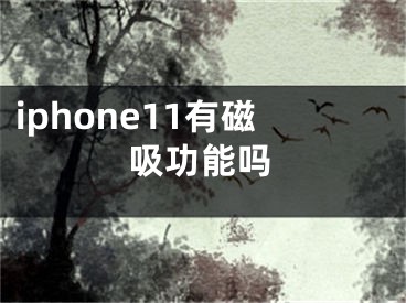 iphone11有磁吸功能吗